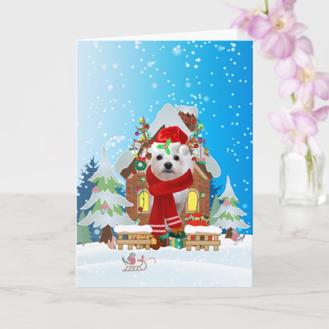 Carte Maltais dans la neige avec des cadeaux de Noël  (Orchidée)