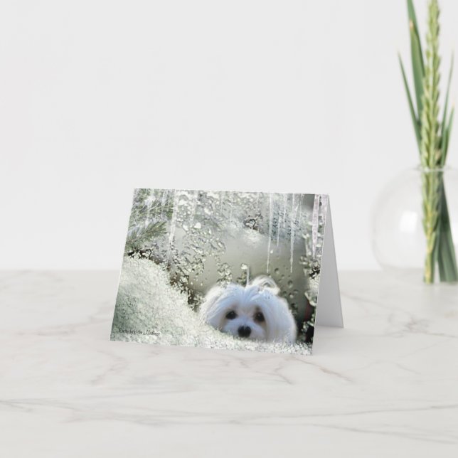 Carte Maltaise de note Snowdrop (Devant)