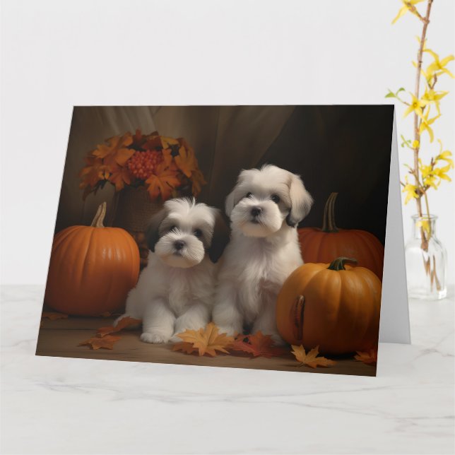 Carte Malti tzu chiot Autumn Delight Citrouille (Fleur jaune)