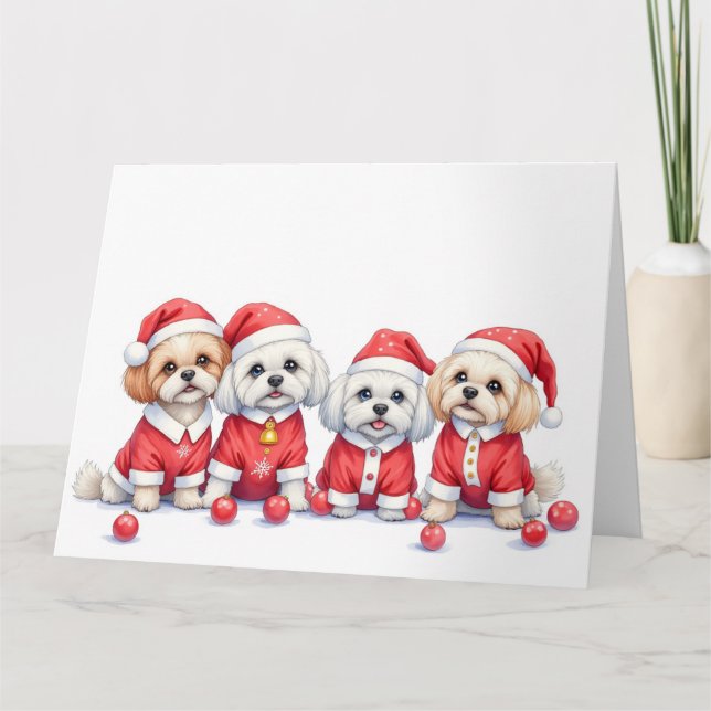 Carte Malti Tzu Christmas Dress Santa Hat (Devant)