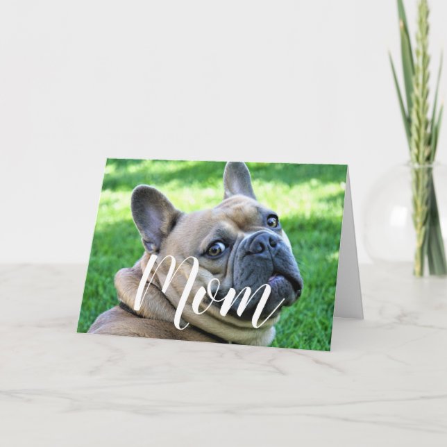 Carte Maman Animal Photo Funky Mothers Day Mignonne Chie (Devant)