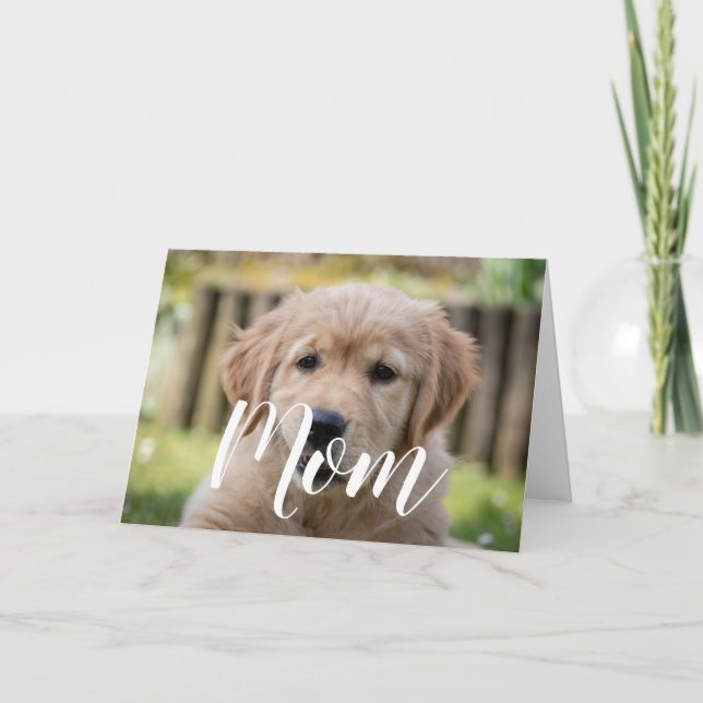 Carte Maman Animal Photo Mères Jour Mignonne Chien Chien (Devant)