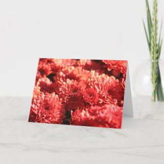 Carte Mamans rouges dans le jardin public