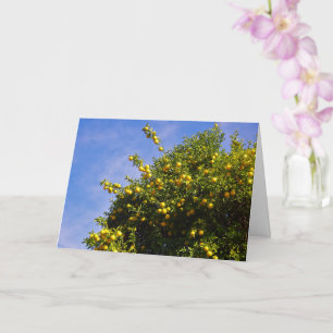 Carte Mandarin Orange Tree Portrait