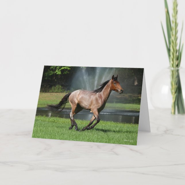 Carte Mangalarga Courir devant la Fontaine (Devant)