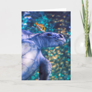 CARTE MANICURE DE TORTUE DE MER