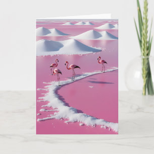 Carte Marais salants roses de bonaire