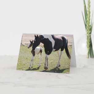 Carte Marche de Mare et Filly