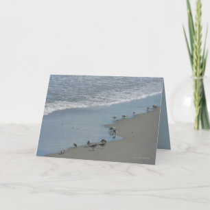 Carte Marcheurs de bord