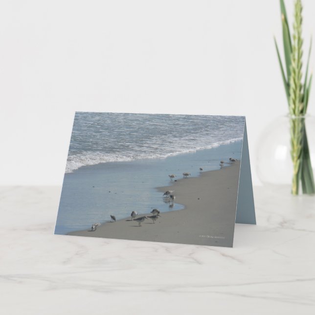 Carte Marcheurs de bord - customisés (Devant)