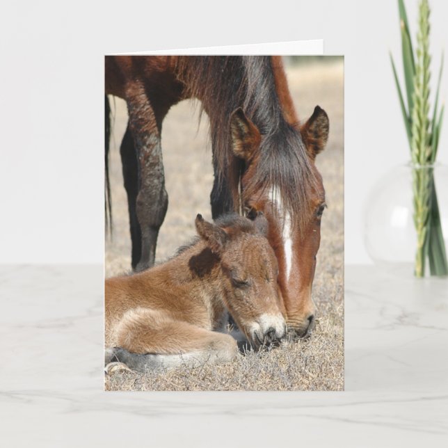 Carte Mare avec Colt (Devant)