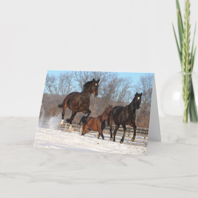 Carte Mares d'Oldenburg et de Hanoverian en neige (Devant)