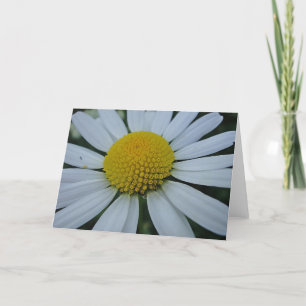 Carte Marguerite blanche, saluant la carte, en blanc