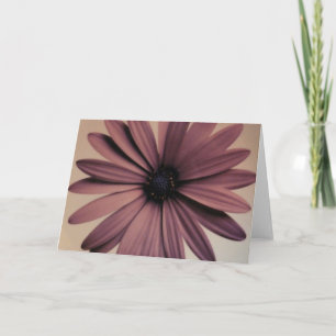 Carte Marguerite de Lavendar