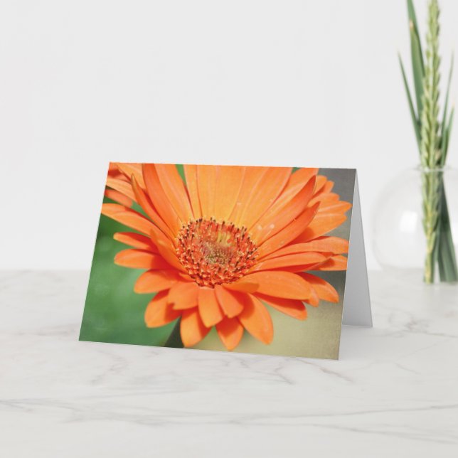 Carte Marguerite orange de Gerbera (Devant)