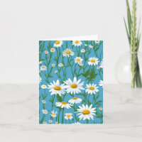 Marguerites Blanches Sur Turquoise