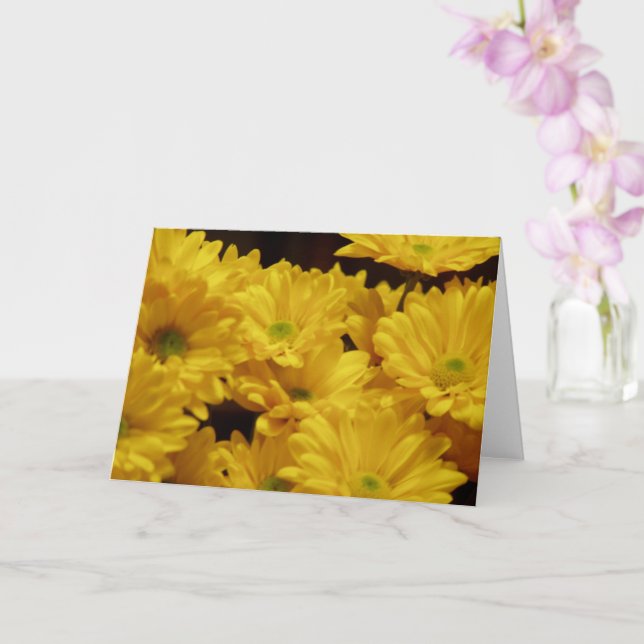 Carte Marguerites jaunes (Orchidée)