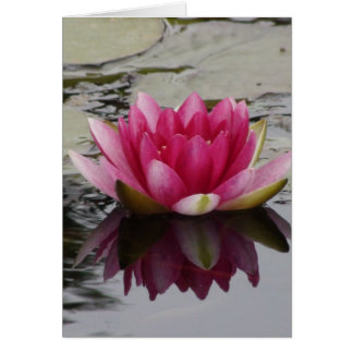 Carte Mariage Water Lily