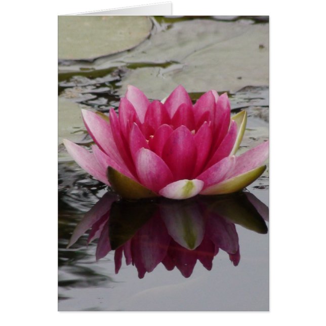 Carte Mariage Water Lily (Devant)