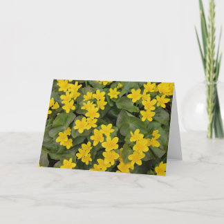Carte Marigold Marsh en fleurs