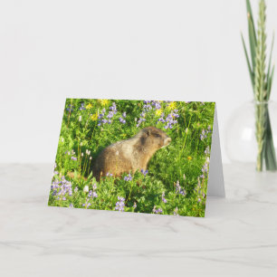 Carte Marmotte dans les fleurs sauvages du mont Rainier