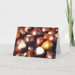 Carte Maronniers américains d'Ohio