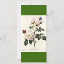 Marque-page fleurs de rose blanche art botanique v
