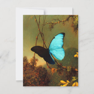 Carte Martin Johnson Heade Blue Morpho Butterfly