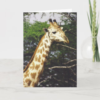 Carte Masai de Twiga (girafe de masai)