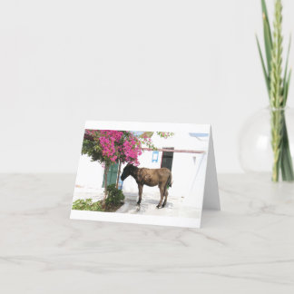 Carte mascotte Opa d'âne de GreekIslandHouse.com !