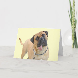 Carte Mastiff Birthday Card by Focus for a Cause
