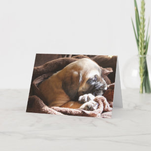 Carte Mastiff Puppy "Miss You"