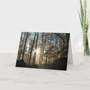 Carte Matin dans les bois de Pennsylvanie