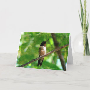 Carte Matin des colibris