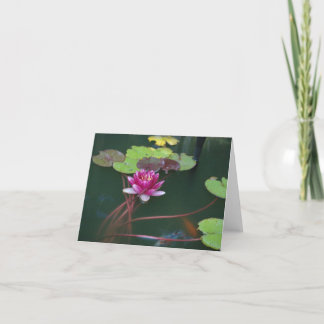 Carte Matin Lily