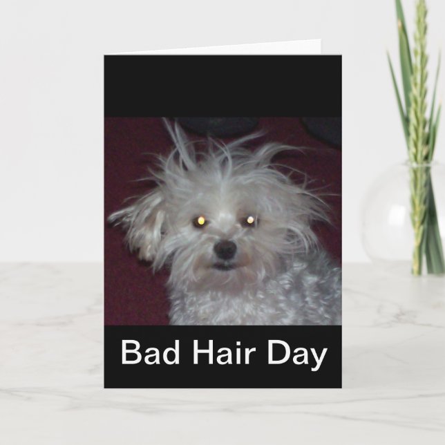 Carte Mauvais jour de cheveux - humour de chien et de (Devant)