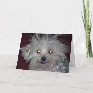 Carte Mauvais jour de cheveux - humour de chien et de