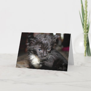 Carte Mauvaise journée des cheveux