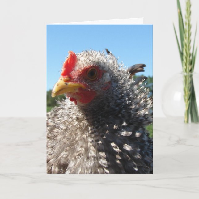 Carte Mauvaise journée des cheveux Parfois (Devant)