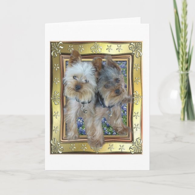 Carte maximum et de Zach (Devant)