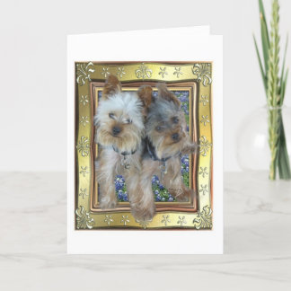 Carte maximum et de Zach