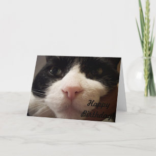 Carte Me voici : Joyeux anniversaire (Carte avec chat)