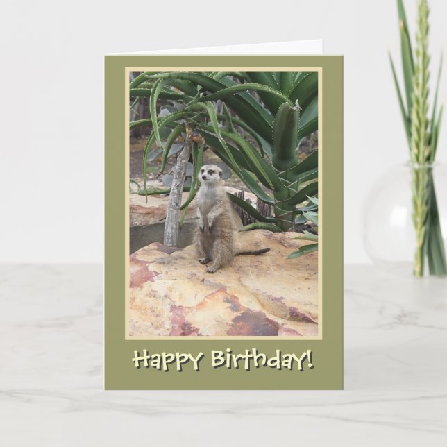 Carte Meerkat et Joyeux anniversaire (Devant)