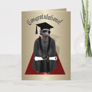 Carte Meerkat Graduate