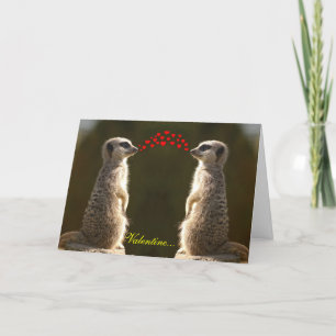 Carte Meerkat Valentine 003