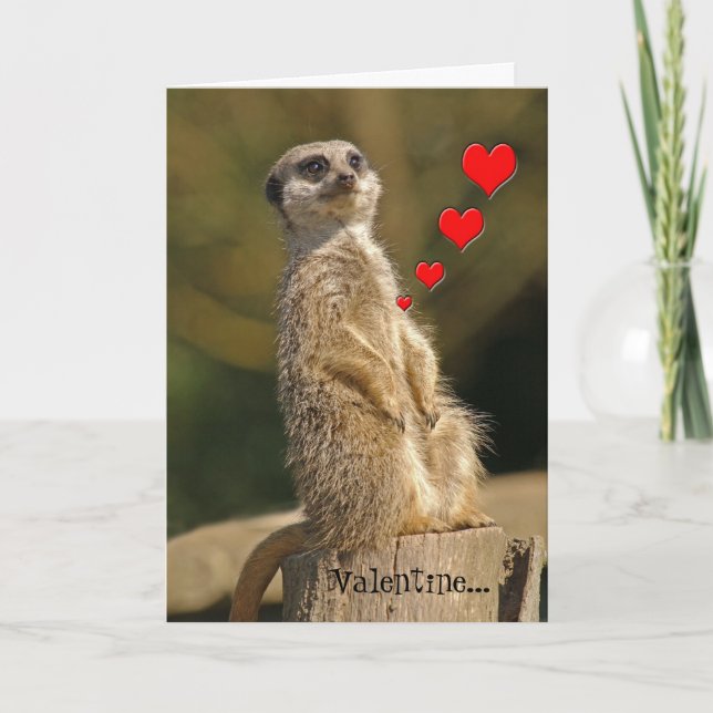 Carte Meerkat Valentine 007 (Devant)