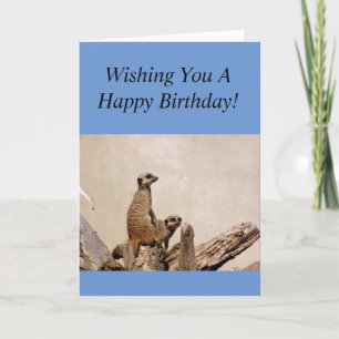 Carte Meerkats Bonne Salutation d'anniversaire!