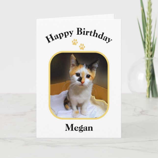 Carte Megan Calico Kitten Joyeux anniversaire (Devant)