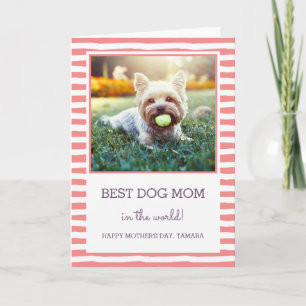 Carte Meilleur chien maman   Corail   Photo Fête des mèr
