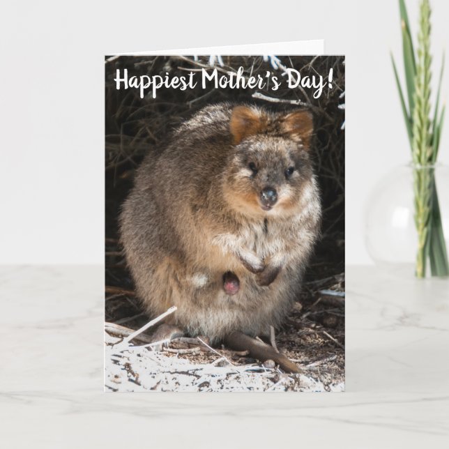 Carte Meilleure Fête des Mères Quokka Australie (Devant)